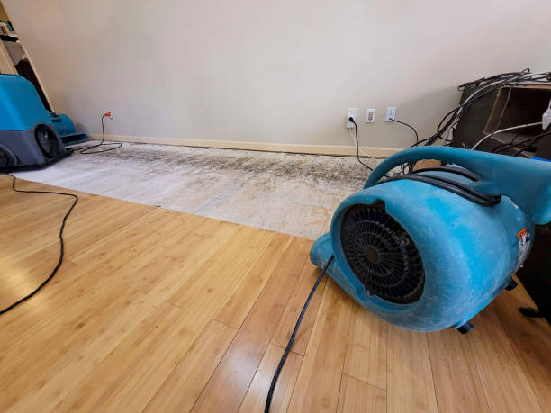 Professional Water Damage Repair technician working in Temperance, MI